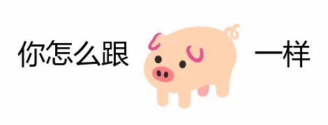 你是一只猪